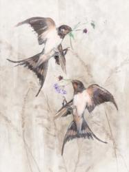 Playful Swallows II | Obraz na stenu