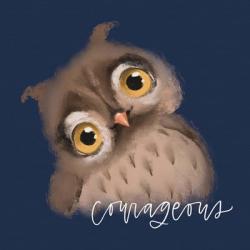 Courageous Owl | Obraz na stenu