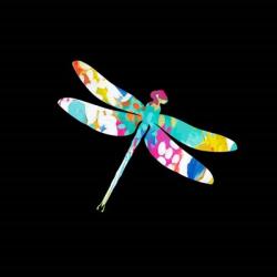 Dragonfly | Obraz na stenu