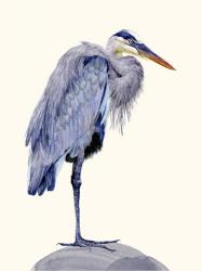 Heron Study II | Obraz na stenu