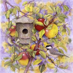 Chickadee & Apples | Obraz na stenu