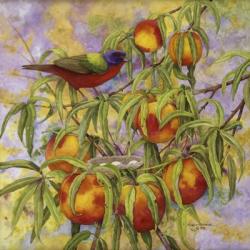 Painted Bunting & Peaches | Obraz na stenu