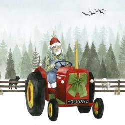 Country Santa I | Obraz na stenu