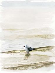 Coastal Gull II | Obraz na stenu