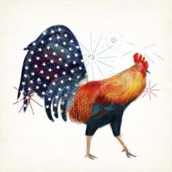 Rooster Fireworks II | Obraz na stenu