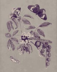 Nature Study in Plum & Taupe II | Obraz na stenu