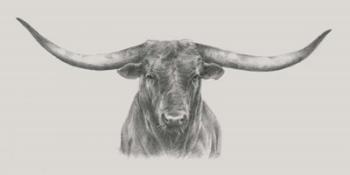 Longhorn Bull | Obraz na stenu