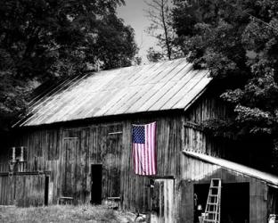 Flags of Our Farmers III | Obraz na stenu