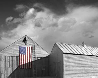 Flags of Our Farmers V | Obraz na stenu