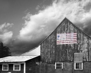 Flags of Our Farmers VII | Obraz na stenu