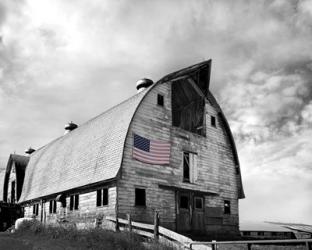 Flags of Our Farmers X | Obraz na stenu