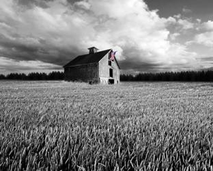 Flags of Our Farmers XIII | Obraz na stenu