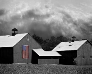 Flags of Our Farmers XV | Obraz na stenu