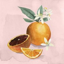 Orange Blossom I | Obraz na stenu