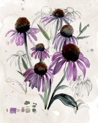 Purple Wildflowers II | Obraz na stenu