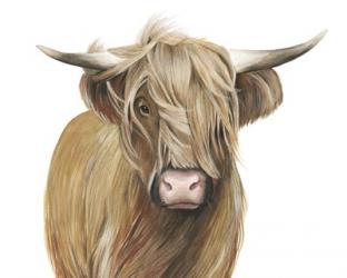 Highland Cattle I | Obraz na stenu