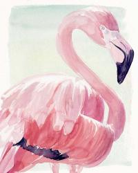 Pastel Flamingo II | Obraz na stenu