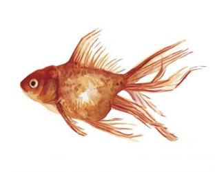 Ornamental Goldfish I | Obraz na stenu