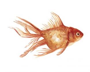 Ornamental Goldfish II | Obraz na stenu