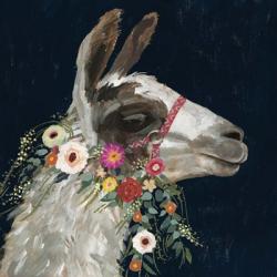 Lovely Llama I | Obraz na stenu