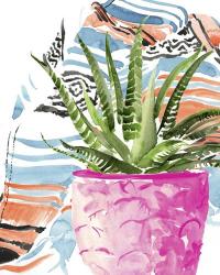 Zebra Succulent I | Obraz na stenu
