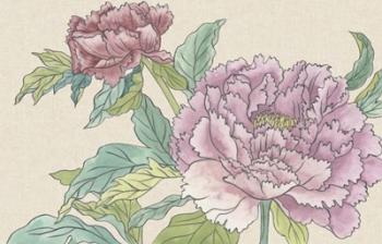 Peony Blooms I | Obraz na stenu