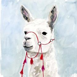 Watercolor Llama II | Obraz na stenu