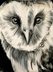Charcoal Owl II | Obraz na stenu