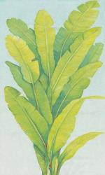 Chartreuse Tropical Foliage II | Obraz na stenu