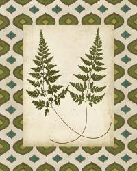 Moroccan Ferns I | Obraz na stenu