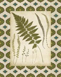 Moroccan Ferns II | Obraz na stenu