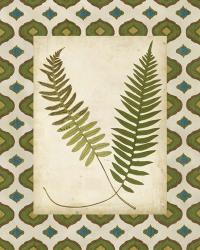 Moroccan Ferns III | Obraz na stenu