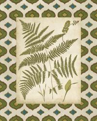 Moroccan Ferns IV | Obraz na stenu