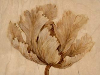Sepia Tulip on Birch I | Obraz na stenu