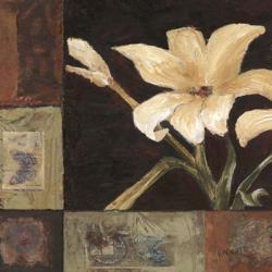 Magnolia Breeze I | Obraz na stenu