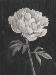 Black and White Flowers I | Obraz na stenu
