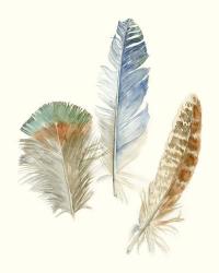 Watercolor Feathers III | Obraz na stenu