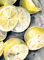 Lemon Slices II | Obraz na stenu