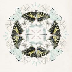 Butterfly Mandala I | Obraz na stenu