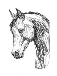 Equine Contour II | Obraz na stenu