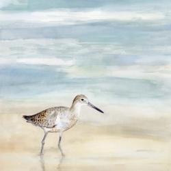 Speckled Willet I | Obraz na stenu