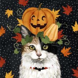 Halloween Cat II | Obraz na stenu