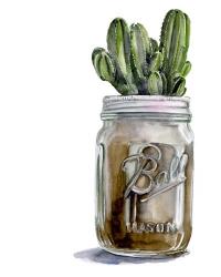 Cactus Mason Jar I | Obraz na stenu