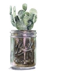 Cactus Mason Jar II | Obraz na stenu