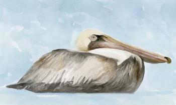 Soft Brown Pelican I | Obraz na stenu