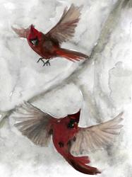 Cardinals I | Obraz na stenu