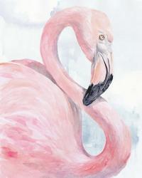 Pink Flamingo Portrait I | Obraz na stenu