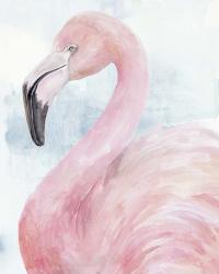 Pink Flamingo Portrait II | Obraz na stenu