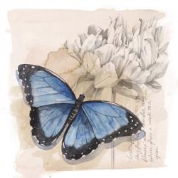 Shadow Box Butterfly II | Obraz na stenu