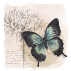 Shadow Box Butterfly III | Obraz na stenu